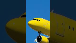 🔴Los Angeles (LAX) Airport Plane Spotting #aircraftspotting #planespotting #shorts