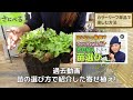 【見ないと損 】寄せ植えが劇的に変わるオシャレなカラーリーフを紹介します♪【初心者向け】【ガーデニング】【園芸チャンネル】