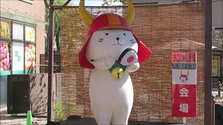 ひこにゃんが四番町スクエアに登場