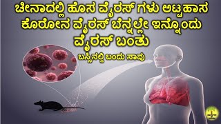 ಚೀನಾದಲ್ಲಿ ಹೊಸ ವೈರಸ್ ಗಳು ಅಟ್ಟಹಾಸ ಕೊರೋನ ವೈರಸ್ ಬೆನ್ನಲ್ಲೇ ಇನ್ನೊಂದು ವೈರಸ್ ಬಂತು