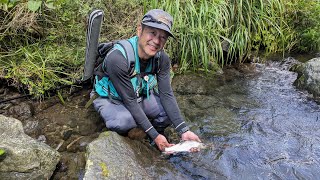 富士川水系で尺アマゴと５０ｃｍオーバーの虹鱒を釣る事が出来るか！！２０２３，９月の釣行　【渓流釣り】