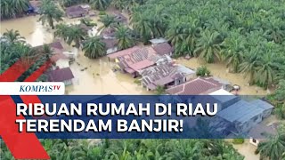 Banjir hingga Ketinggian 120 Cm, 1.200 Rumah di Rokan Hulu Riau Terdampak!