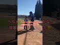 地元での練習試合⚾️試合は楽しいね🤗 ロサンゼルス生活 海外移住 ポニーリーグ 硬式野球 少年野球 大谷翔平