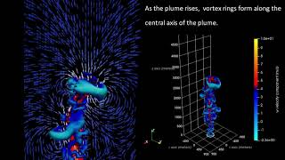 Starting Turbulent Buoyant Plumes: Formation and Growth