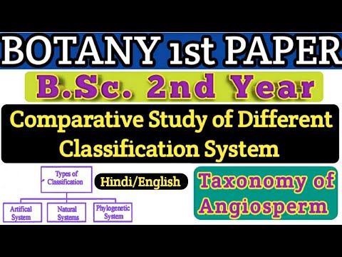 Comparative Study Of Different Classification System / Taxonomy Of ...