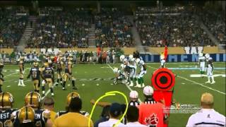 2014 CFL Week 7 Saskatchewan Riders at Winnipeg Blue Bombers