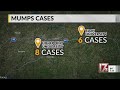 Increase in cases of mumps