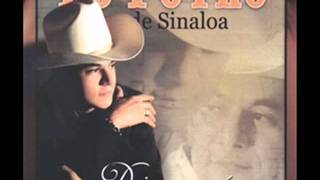 La Emboscada - El Potro de Sinaloa