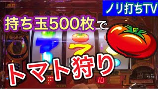 【リノ　Reno トマト狩り】持ち玉500枚でトマト狩り　ノリ打ちTV