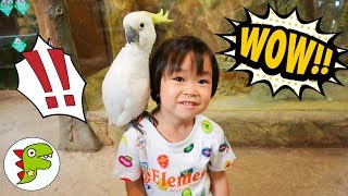 おでかけ マレーシア MINI Zoo 動物園へ行ったよ！色々な生き物を触れたよ！ トイキッズ