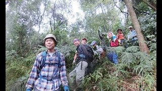 濠哥行山樂  健樂行2018-02-22  大埔墟起步，山塘新村，上黃宜坳，蓬萊閬苑，半山洲，衛徑8段，碗窑，田寮下，社山，大樟樹，林村，圍頭村，太和散隊