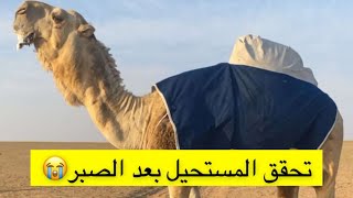 عبدالرحمن المطيري | تحقق المستحيل بعد الصبر 😭🐫