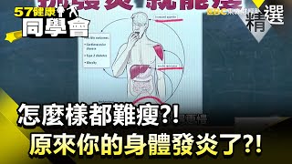 怎麼樣都難瘦？！原來你的身體發炎了？！【健康同學會】精華篇｜隋安德 許晶晶