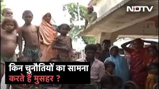 Bihar का मुसहर समुदाय किन चुनौतियों का करता है सामना? क्या है उनकी जरूरतें ?