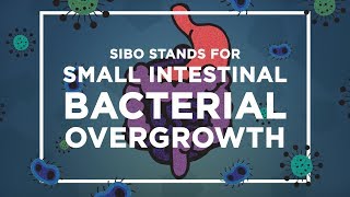 Think You Have IBS? Get Tested For SIBO