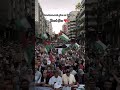 These Brave people ✊🏼🍉 #viral #trending #palestine #shorts #protest