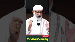 ఇంట్లో నల్ల ఛీమలు ఎక్కువగా కనిపిస్తే దేనికి సూచన?