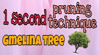 1 SECOND PRUNING Technique of Gmelina Tree by Happy Pills TV