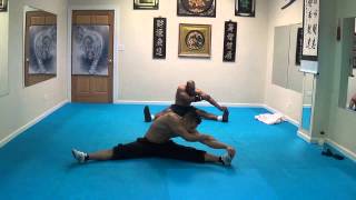 Quick Flexibility Training for Martial Artists
