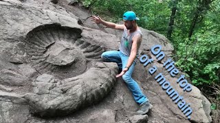 OMG, What the Heck did I Just Find? | World Record Largest Ammonite Fossil | Destination Adventure