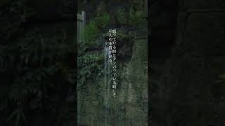 見えてる範囲だけで判断しない方がいい。#一日一名言 #15秒だけ人生について真剣に考える #朗読 #名言