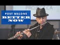 "DNA Unplugged" Better Now - Post Malone Flute Cover