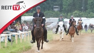 Gangpferdeprüfung - die Isländer zeigen ihr Können auf der EQUITANA Open Air 2012