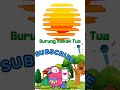 Lagu anak burung kakak tua animasi kartun #shorts #short