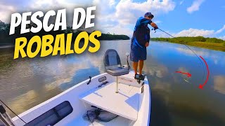 VOLTEI para o MANGUE ATRAS DOS ROBALOS! Pescaria de robalo com jig head - DICAS