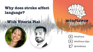 Why does stroke affect language?