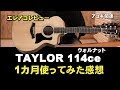 Taylor 114ce　1か月使った感想　　Taylor エレアコ　ウォルナット　ES2　ジェイ☆チャンネル