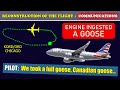 The engine INGESTED a Canada Goose | American Airlines Airbus A319 | Chicago O’Hare airport