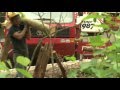 Brainerd Lakes Storm Damage - Lakeland News at Ten - June 20, 2012