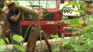 Brainerd Lakes Storm Damage - Lakeland News at Ten - June 20, 2012