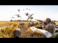 40 BIRD 30 MINUTE 4 MAN DUCK HUNT… Mixed Bag!!