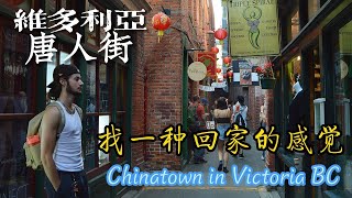 找一种回家的感觉 Victoria Chinatown 加拿大最古老唐人街 北美最窄商业街 #维多利亚 #温哥华岛 | 横贯加拿大自驾 D13