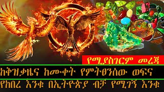 ETHIOPI; ከቅዝቃዜና ከሙቀት የምትፀንሰው ወፍና የከበረ እንቁ በኢትዮጵያ ብቻ የሚገኝ እንቁ