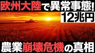 【衝撃】欧州大陸で異常事態！12兆円の巨大産業！欧州最大の農業大国が崩壊寸前!?【フランス】