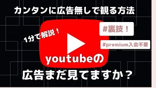 youtubeの動画を広告無しで観る方法を1分で解説！