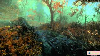 The Cursed Forest PC 60FPS Gameplay | 1080p