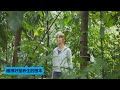 Good Health Good Life 养生有妙方 EP3 - Is good sleep truly the basis of preserving health?