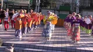 ふるさと祭り東京2016～よさこい総踊り（この地へ）