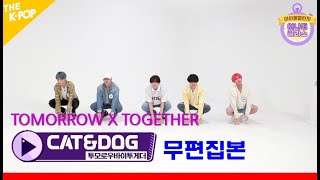 [Special Stage.01] TOMORROW X TOGETHER (투모로우바이투게더) - Cat \u0026 Dog @ Idol Challenge : another class