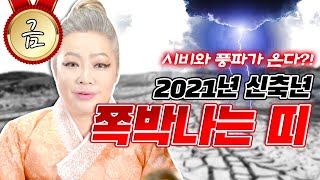 2021년 신축년 미리 조심하자! 무조건 조심해야하는 띠와 나이 💥💣💨 원숭이띠 돼지띠 말띠 쥐띠 닭띠 양띠 용띠 뱀띠 범띠 토끼띠 소띠 개띠 중 어느띠 ?