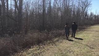 Park Highlight: White Star Park; Doug Haubert Wetland