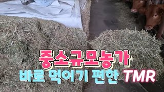 중소구모 농가에 바로먹이기 편한 TMR 빅베일