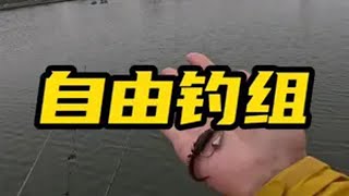 自由钓组，冬季钓鳜鱼必备钓组！ 自由钓组 黑坑鳜鱼 鳜鱼偷驴 尼尔路亚