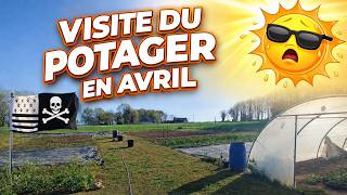 Visite du potager en avril : déjà une CANICULE en Bretagne ! 😰