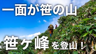 笹ヶ峰を徹底紹介！【日本二百名山】