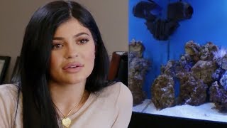 Pregnant Kylie Jenner Cries Over Delivery Room Drama | Hollywoodlife